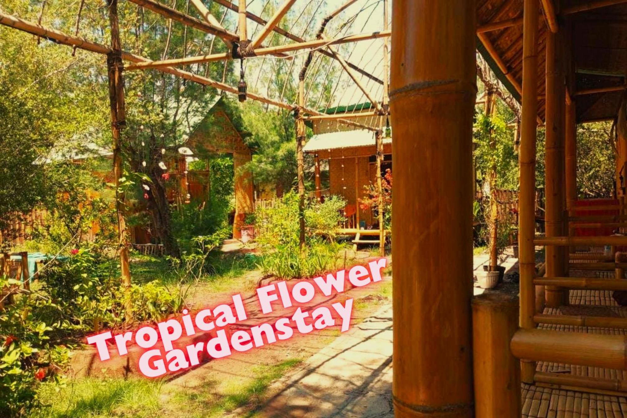 Auberge de jeunesse Uncle Hippie'S Dream à Gili Meno Extérieur photo