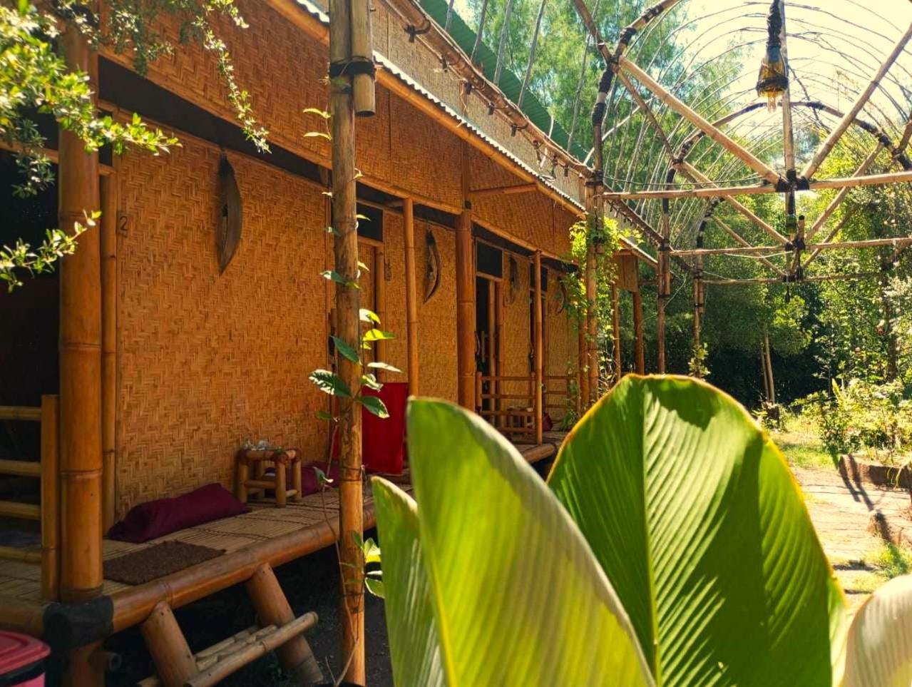 Auberge de jeunesse Uncle Hippie'S Dream à Gili Meno Extérieur photo
