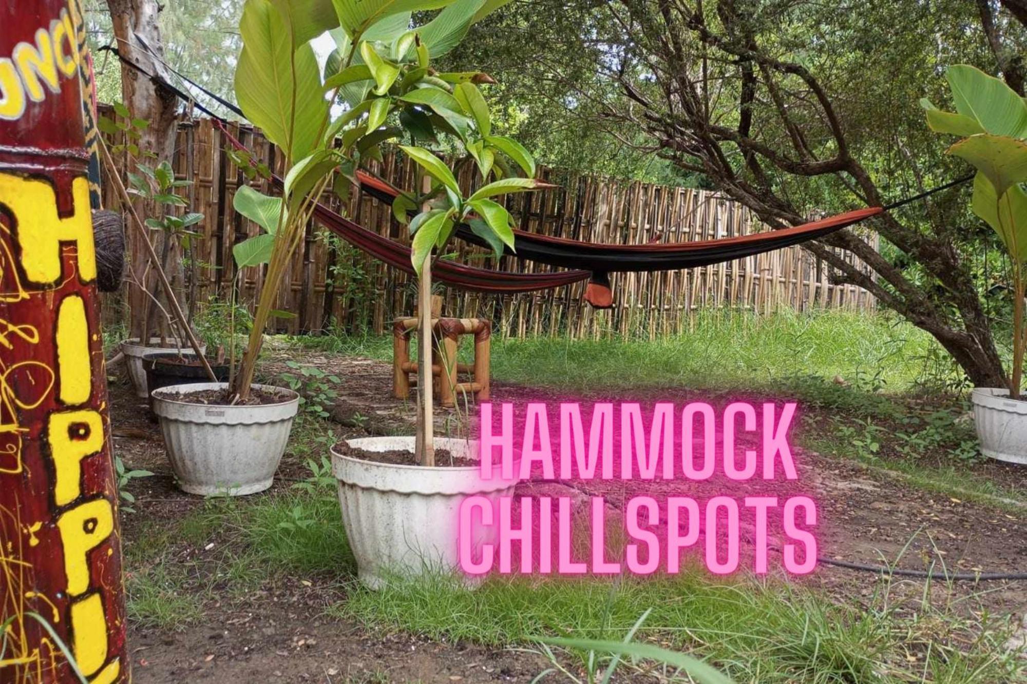 Auberge de jeunesse Uncle Hippie'S Dream à Gili Meno Extérieur photo