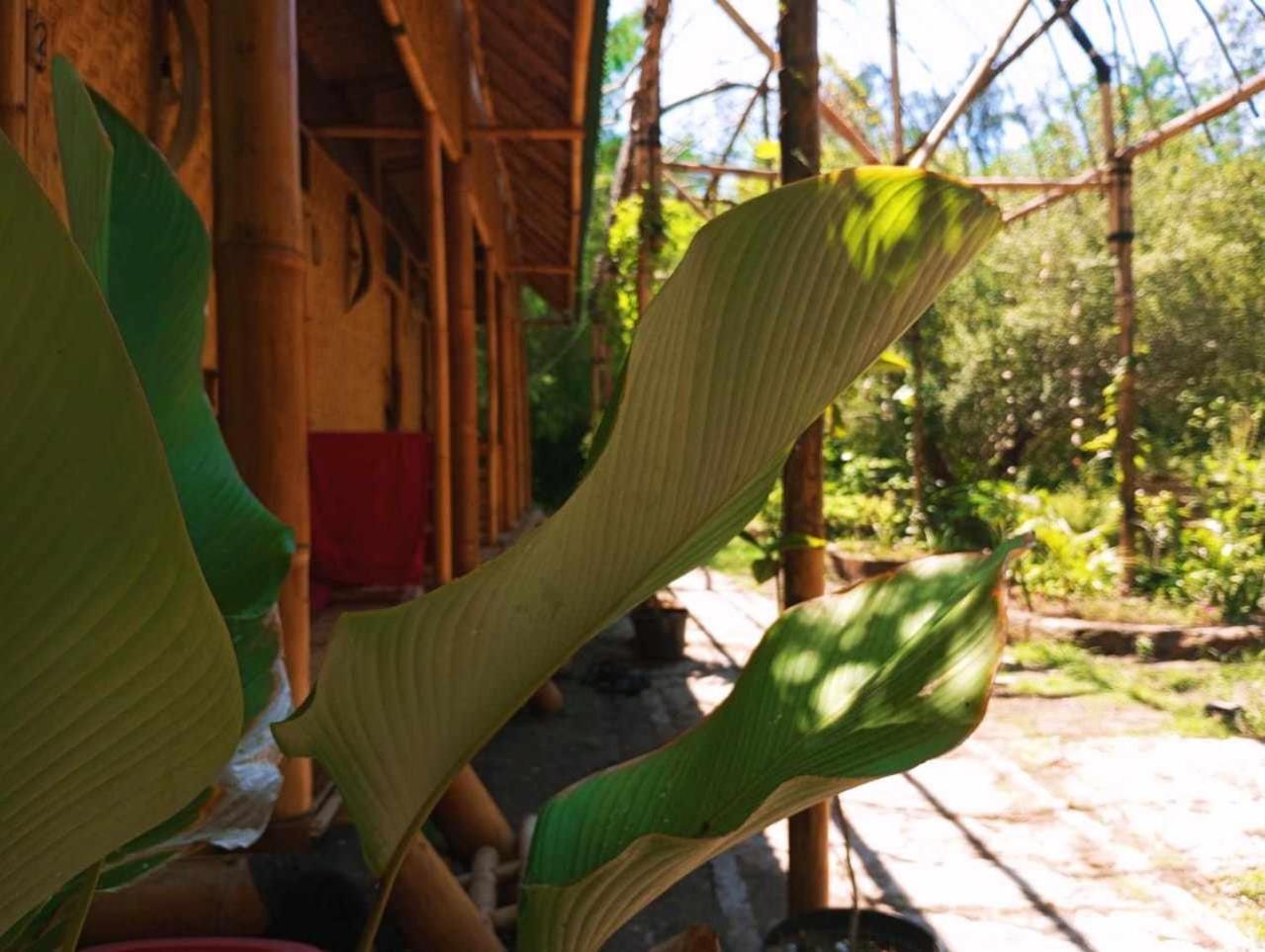 Auberge de jeunesse Uncle Hippie'S Dream à Gili Meno Extérieur photo