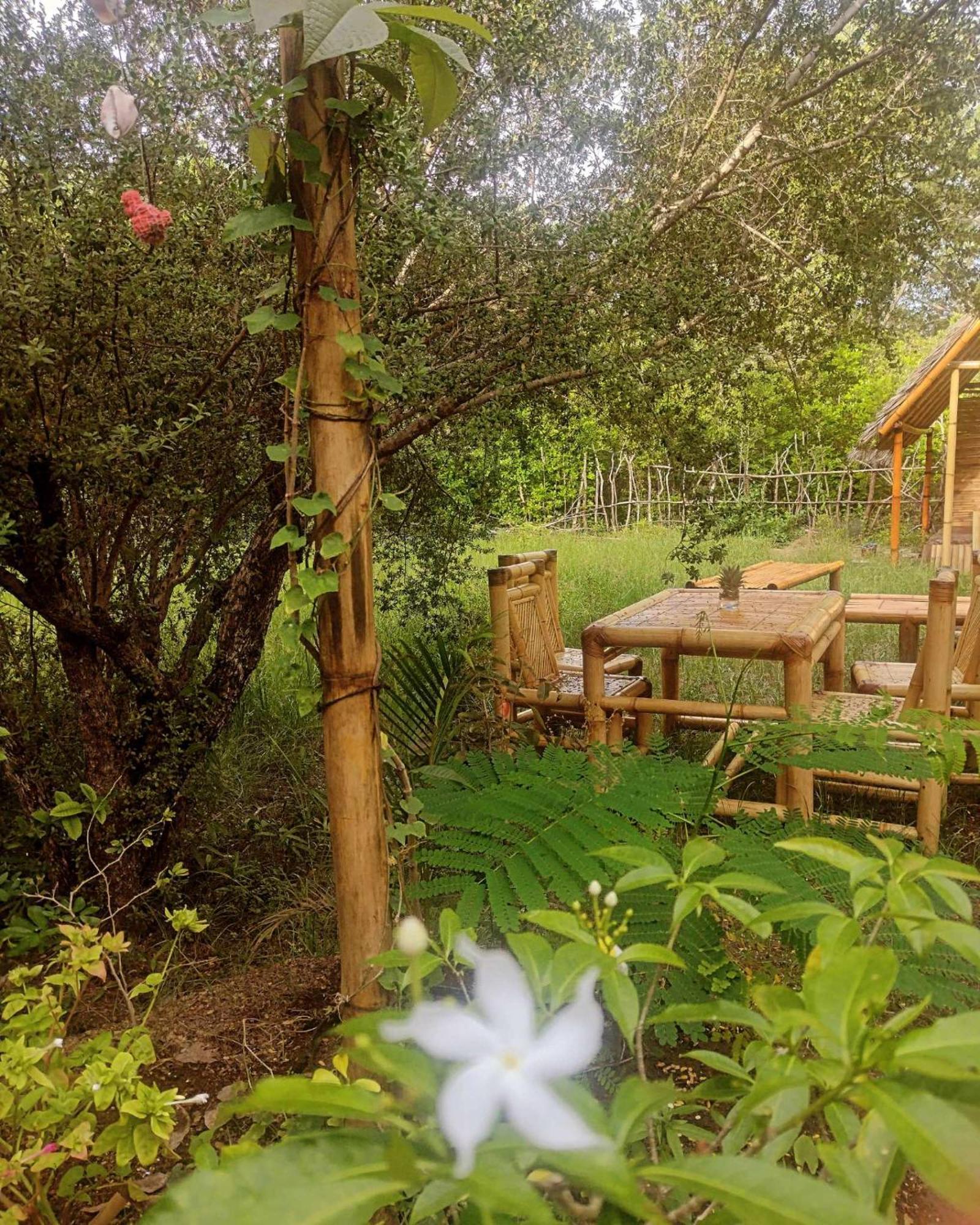 Auberge de jeunesse Uncle Hippie'S Dream à Gili Meno Extérieur photo