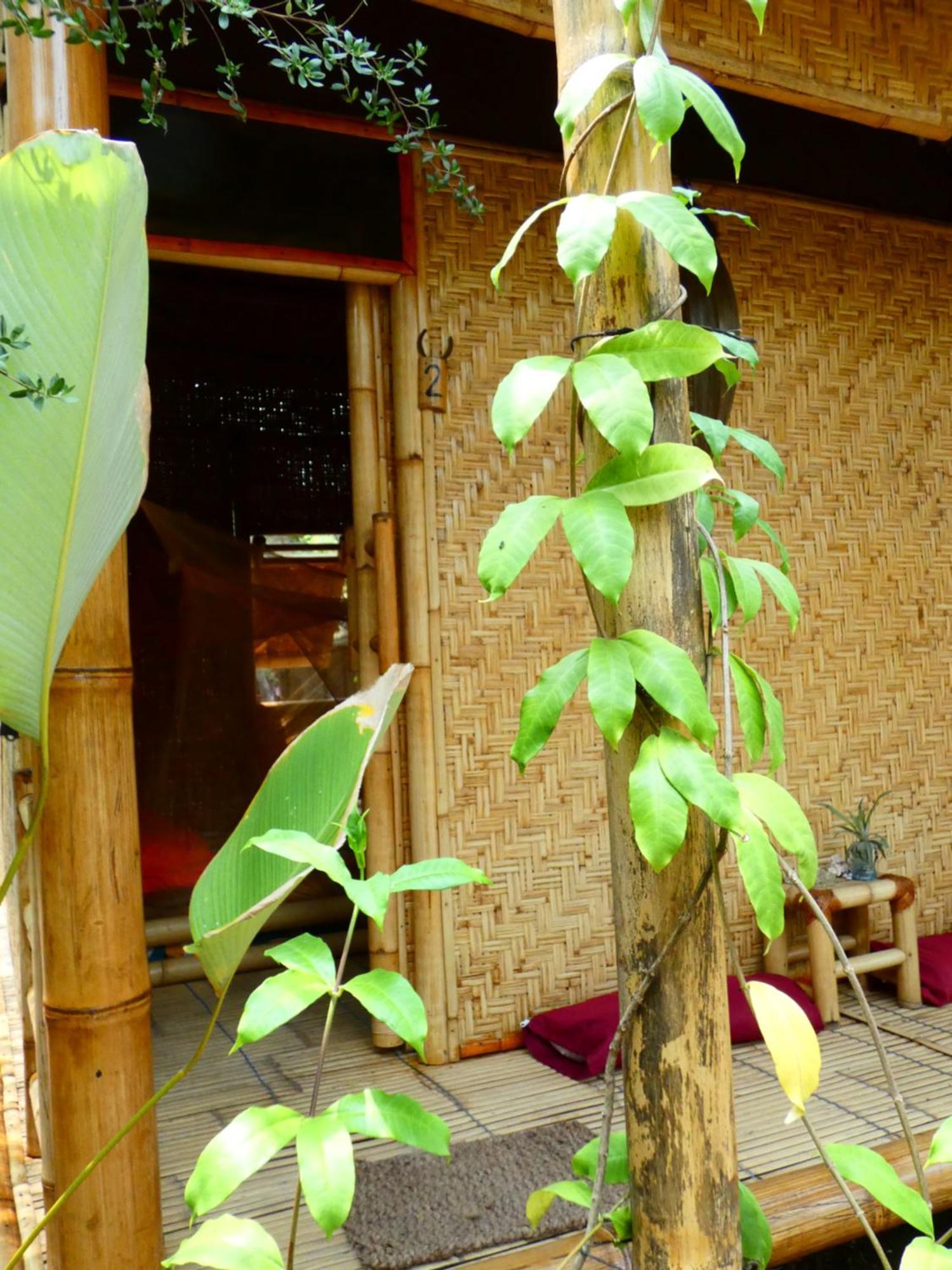 Auberge de jeunesse Uncle Hippie'S Dream à Gili Meno Extérieur photo